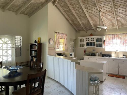 rr_villa_kitchen_1_barbados