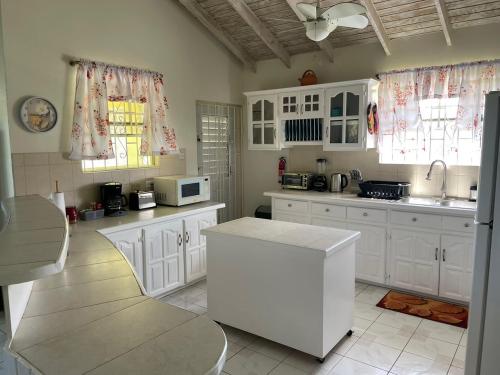 rr_villa_kitchen_2_barbados